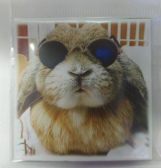 Магнит мал. квадрат винил"Санкт-Петербург"